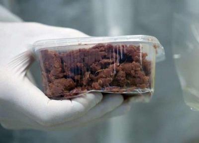 ورود گوشت مصنوعی به سبد غذایی آمریکایی ها