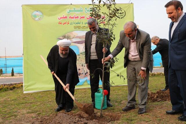رئیس جمهور: همگان در عرصه درختکاری تلاش کنند رئیس جمهور: همگان در عرصه درختکاری کوشش نمایند