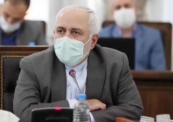 ظریف: تنها همکاری جهانی به این تراژدی خاتمه می دهد