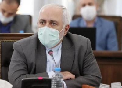 ظریف: تنها همکاری جهانی به این تراژدی خاتمه می دهد