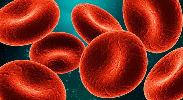 با فناوری نو سلول های خونی اصلاح شده آنتی بیوتیک ها را برای کشتن باکتری های خطرناک حمل خواهند کرد